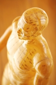 acupuncture | chinese herbs | Gina Zuleger